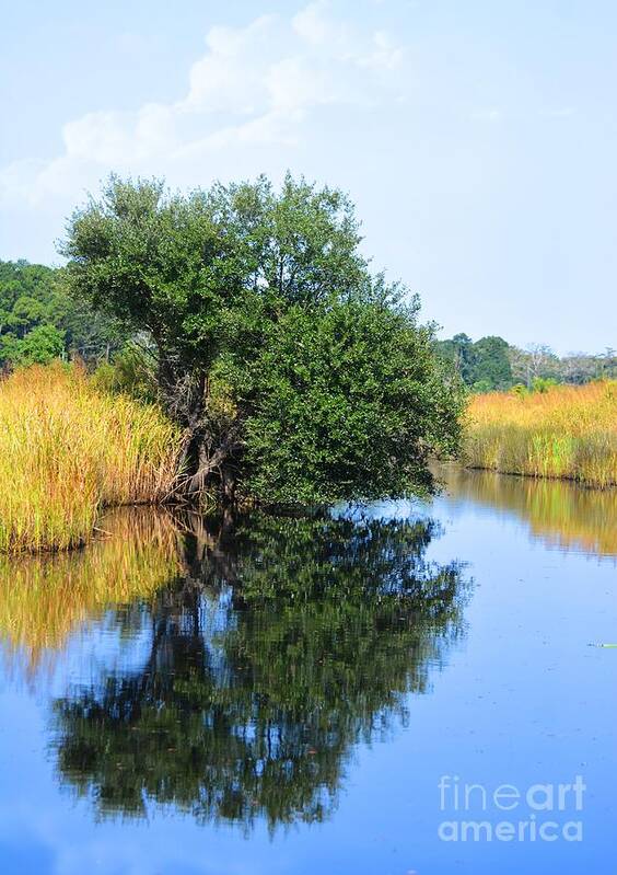 Reflection Art Print featuring the photograph At The Water's Edge by Kathy Baccari