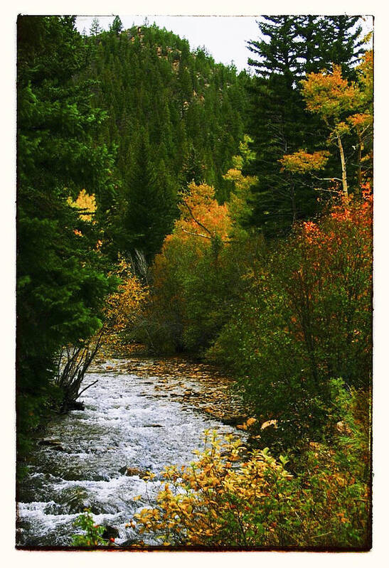 Aspen Art Print featuring the photograph Autumn at Deer Creek by Susan See