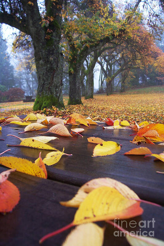 Autumn Art Print featuring the photograph Autumn Table by Maria Janicki