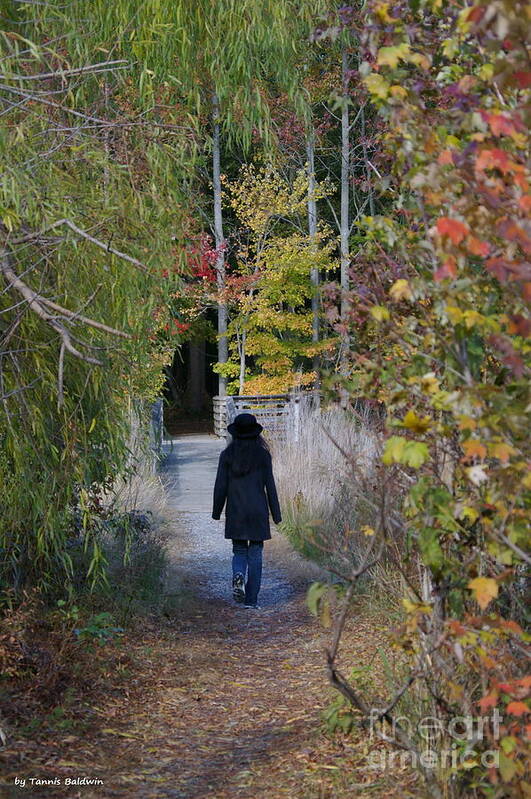 Landscape Art Print featuring the photograph Autumn Walk by Tannis Baldwin