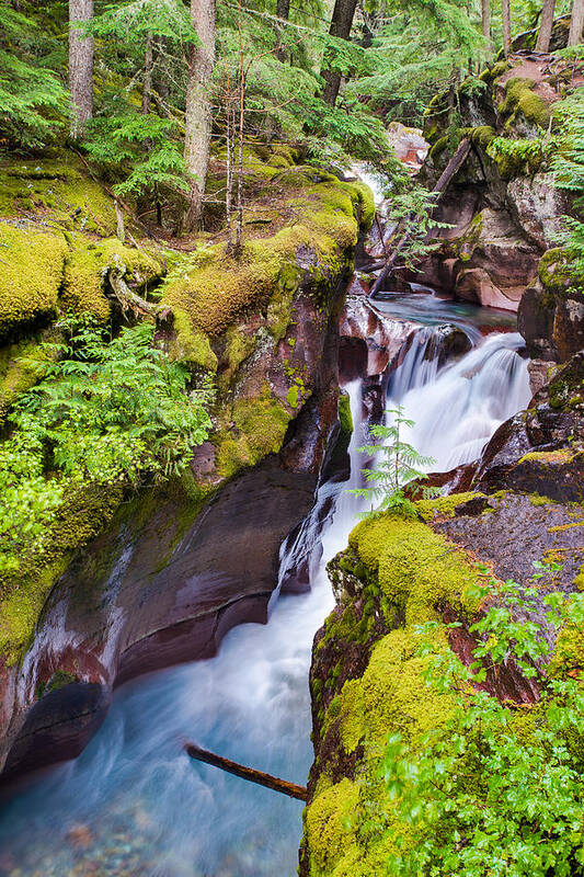 Glacier National Park Art Print featuring the photograph Avalanche Gorge 3 of 4 by Adam Mateo Fierro
