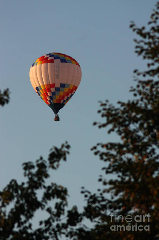 Hot Air Balloon Art Print featuring the photograph Balloon-7097 by Gary Gingrich Galleries