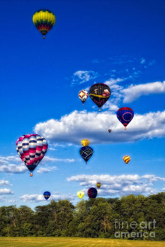 Hot Air Balloons Art Print featuring the photograph Balloonfest by Timothy Hacker