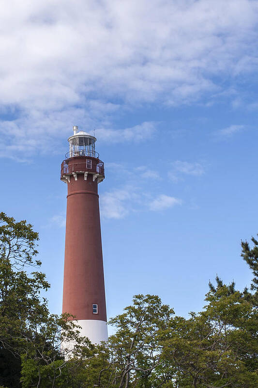 Barnegat Lighthouse New Jersey Art Print featuring the photograph Barnegat Lighthouse New Jersey by Terry DeLuco