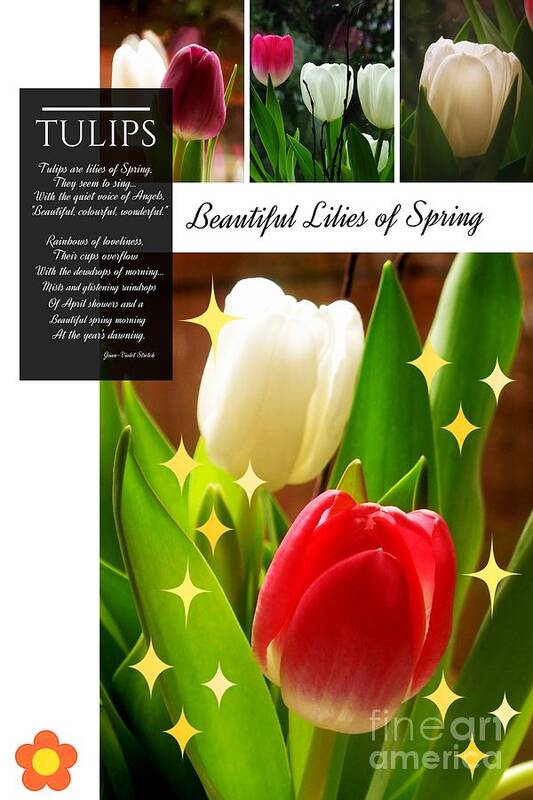 Tulips Art Print featuring the photograph Beautiful Tulip Series 1 by Joan-Violet Stretch
