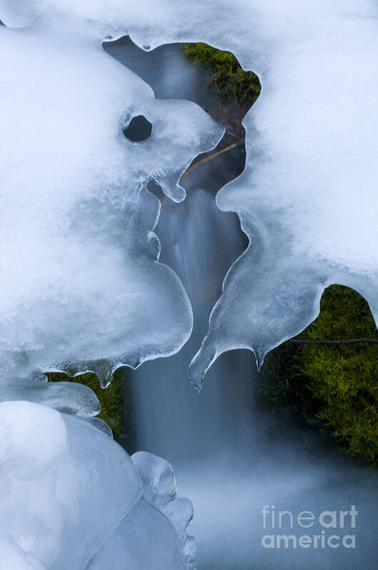Ice Art Print featuring the photograph Beauty Of Winter Ice Canada 24 by Bob Christopher