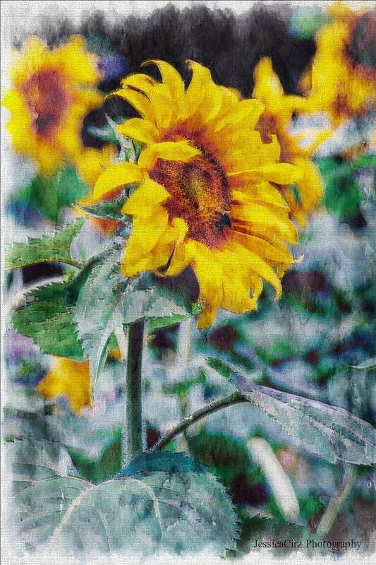 Bee Sun Flower Sunflower Spring Yellow Bright Sun Field Pastel Art Print featuring the photograph Bee and Sunflower Pastel by Jessica Cirz