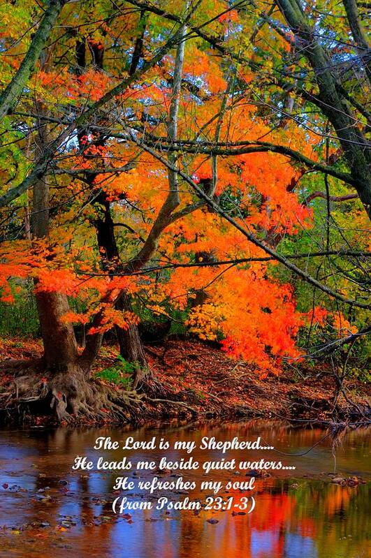 Owens Creek Art Print featuring the photograph Beside Still Waters Psalm 23.1-3 - From Fire in the Creek B1 - Owens Creek Frederick County MD by Michael Mazaika