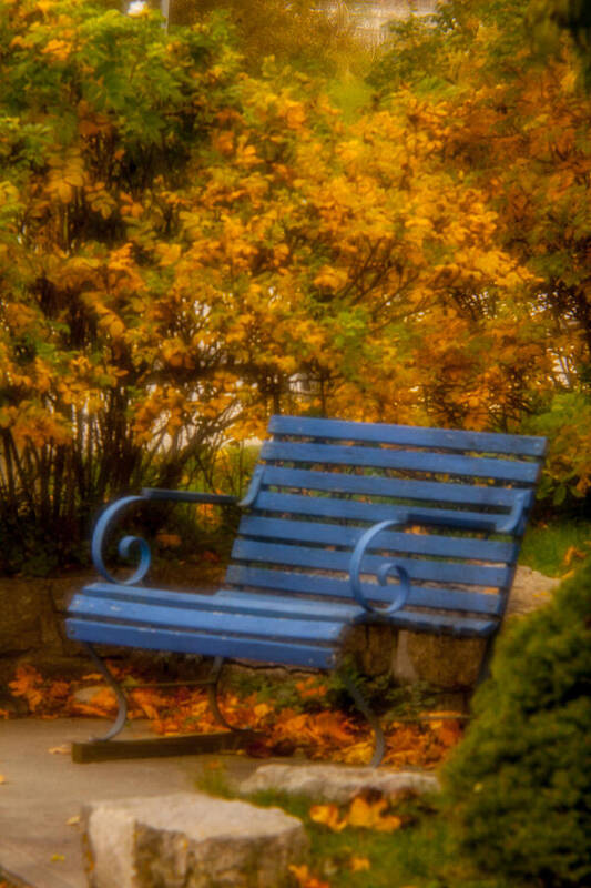Bench Art Print featuring the photograph Blue Bench - Autumn - Deer Isle - Maine by David Smith