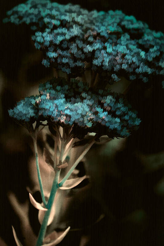 Digital Painting Art Print featuring the photograph Blue Bouquet by Bonnie Bruno