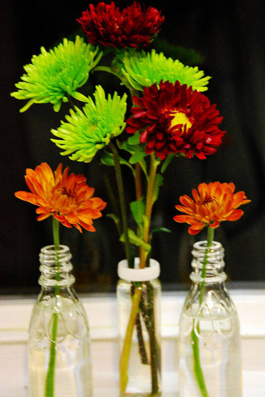 Bottles Art Print featuring the photograph Bottled Flowers by Linda Segerson