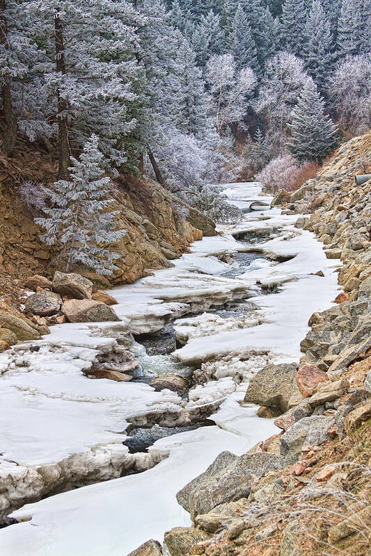 Winter Art Print featuring the photograph Boulder Creek Frosted Snowy Portrait View by James BO Insogna
