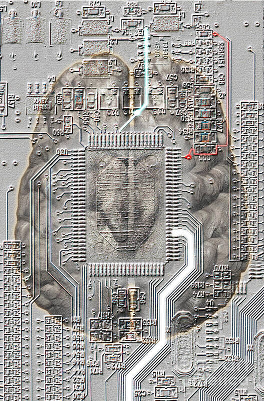 Brain-computer Interface Art Print featuring the photograph Brain Circuit by Mike Agliolo