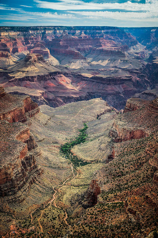 Bright Art Print featuring the photograph Bright Angel Trail by Chris Bordeleau