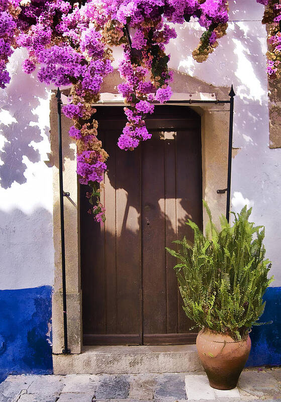 Blue Art Print featuring the photograph Brown Wood Door of the Medieval Village of Obidos by David Letts