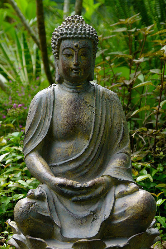 Buddha Art Print featuring the photograph Buddha by Keith Hawley