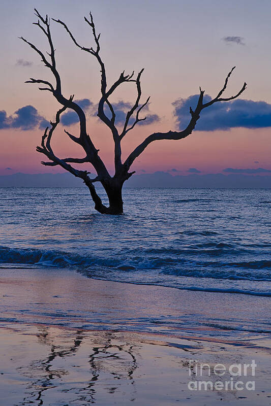 Bull Island Art Print featuring the photograph Bull Island Sunrise 2 by Carrie Cranwill