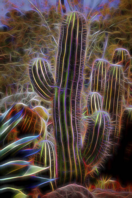 Cactus Color Art Print featuring the photograph Cacti Lights by Kelley King
