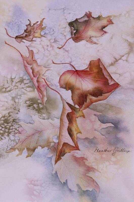 Canadian Maple Leaves Art Print featuring the painting Canadian Maple by Heather Gallup