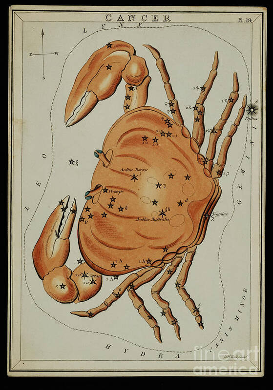 Cancer Art Print featuring the photograph Cancer Constellation Zodiac Sign 1825 by Science Source