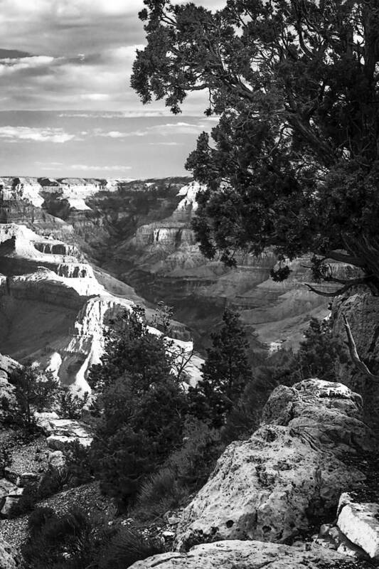 Black And White Art Print featuring the photograph Canyon Gorge -1 by Alan Hausenflock