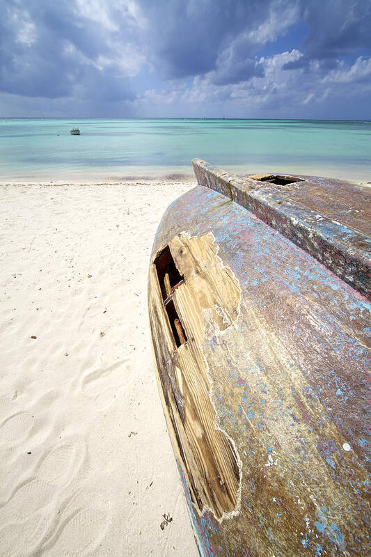 Aruba Art Print featuring the photograph Caribbean Shipwreck by David Letts