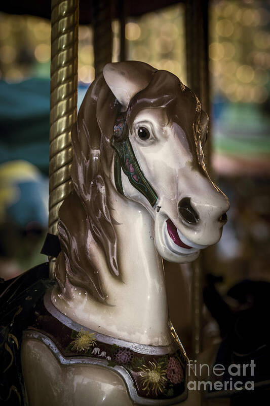 Antiqued Art Print featuring the photograph Carousel Horse Portrait by Sonya Lang