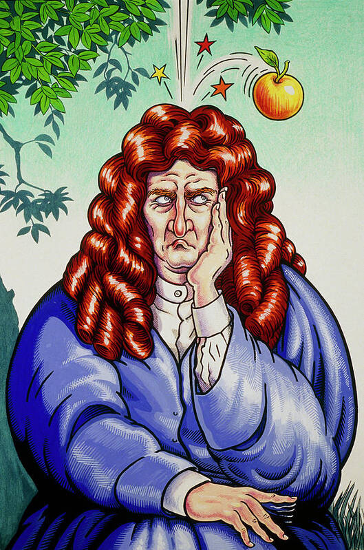 Newton Art Print featuring the photograph Cartoon Of Isaac Newton by Mikki Rain/science Photo Library