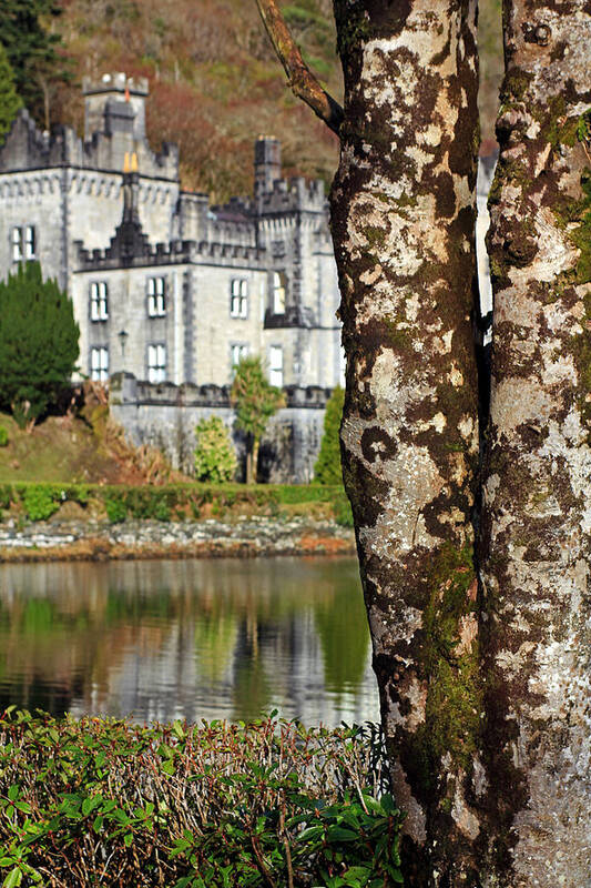 Castles Art Print featuring the photograph Castle Behind the Trees by Jennifer Robin