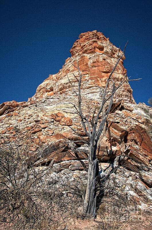 Castle Rock Art Print featuring the photograph Castle Rock and Burnt Mulga Tree by Peter Kneen