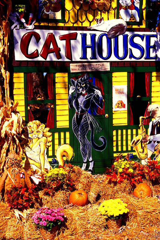 Cat Art Print featuring the photograph Cat Cat House by Paul W Faust - Impressions of Light
