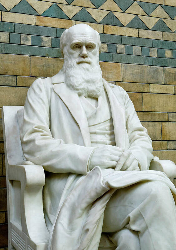 Charles Darwin Art Print featuring the photograph Charles Darwin by Natural History Museum, London/science Photo Library