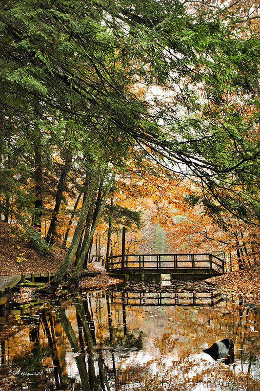 Autumn Art Print featuring the photograph Chenango Valley State Park by Christina Rollo
