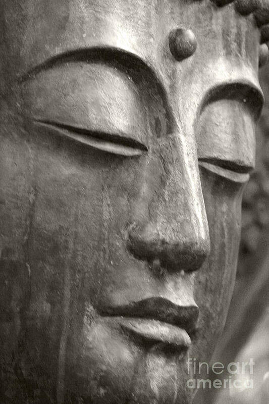 Buddha Art Print featuring the photograph Clarity by Eileen Gayle