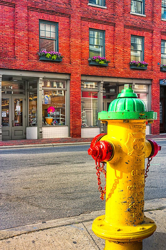 Asehville Art Print featuring the photograph Colorful Fire Hydrant On The Streets of Asheville by Mark Tisdale