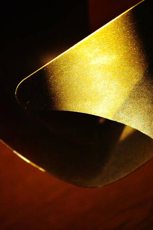 Abstract Art Print featuring the photograph Composition In Gold by Tamara Michael