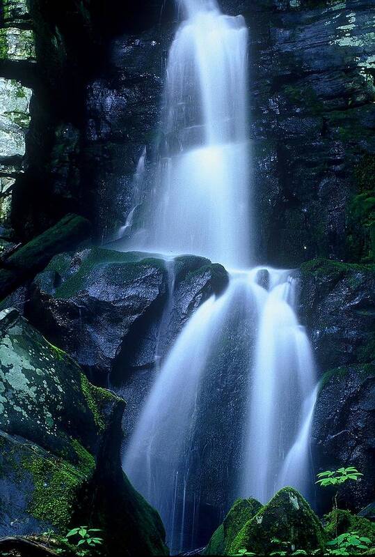 Landscape Art Print featuring the photograph Cool Sanctuary by Rodney Lee Williams