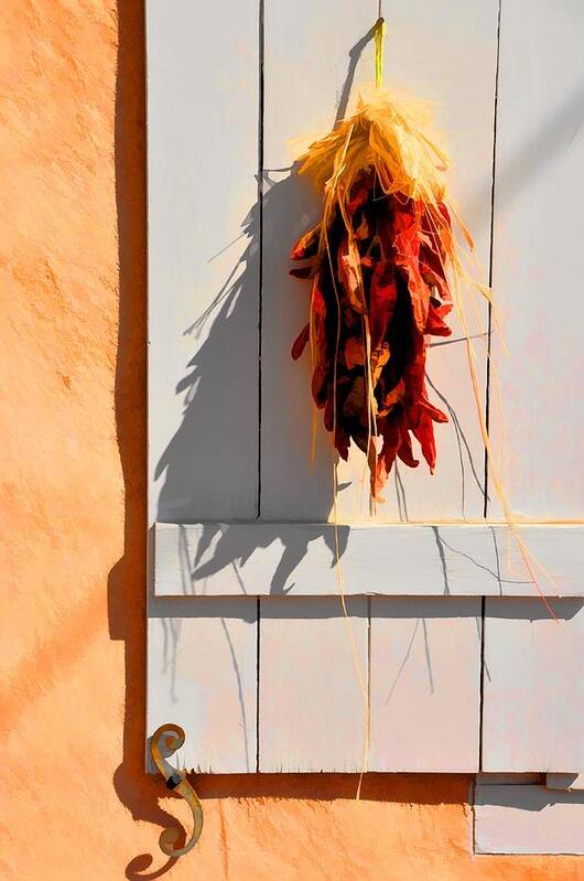 Southwestern Art Print featuring the photograph Cool Shadows Hot Chilies by Jan Amiss Photography