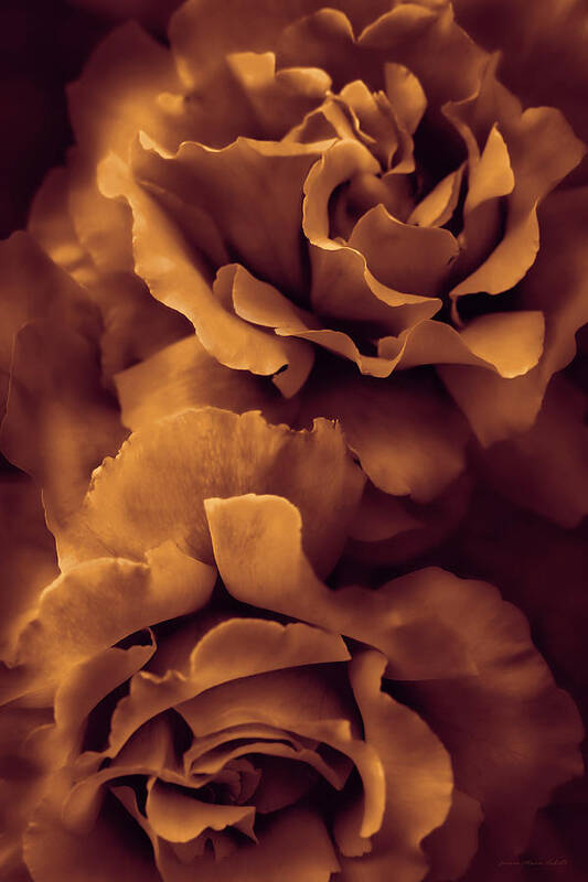 Rose Art Print featuring the photograph Copper Rose Floral Bouquet by Jennie Marie Schell