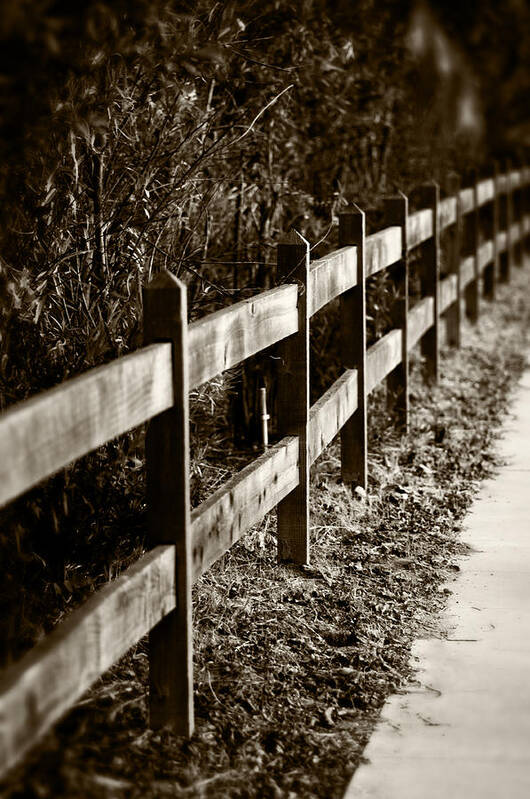 Sepia Art Print featuring the photograph Country Fence Sepia by Kathleen Messmer