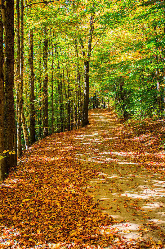 Road Art Print featuring the photograph Country Road by Sherman Perry