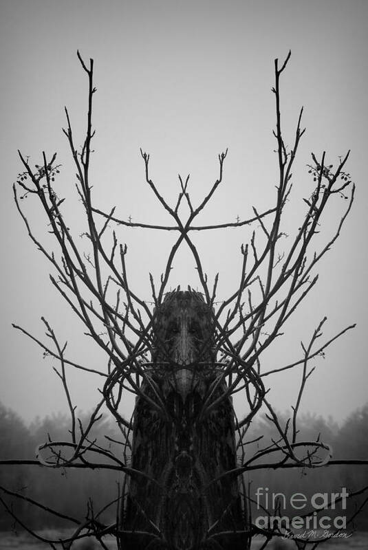 Archetype Art Print featuring the photograph Creature of the Wood BW by David Gordon