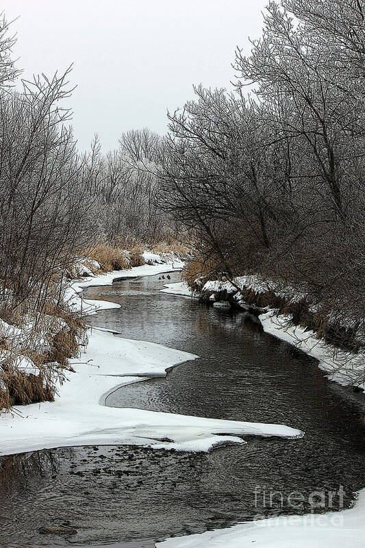  Art Print featuring the photograph Creek Mood by Debbie Hart