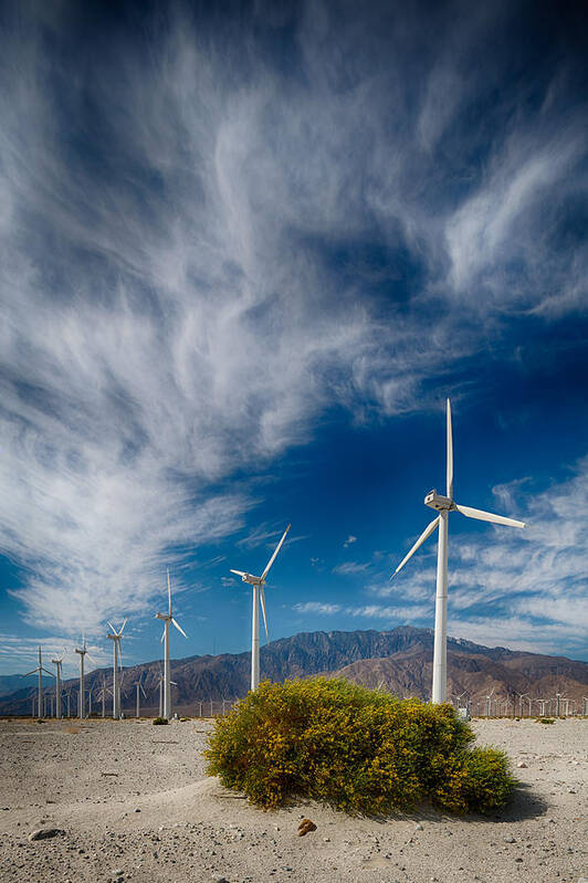 Wind Turbine Art Print featuring the photograph Creosote and Wind Turbines by Scott Campbell