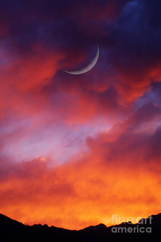 Moon Photograph Art Print featuring the photograph Crescent Moon in Purple by Joseph J Stevens
