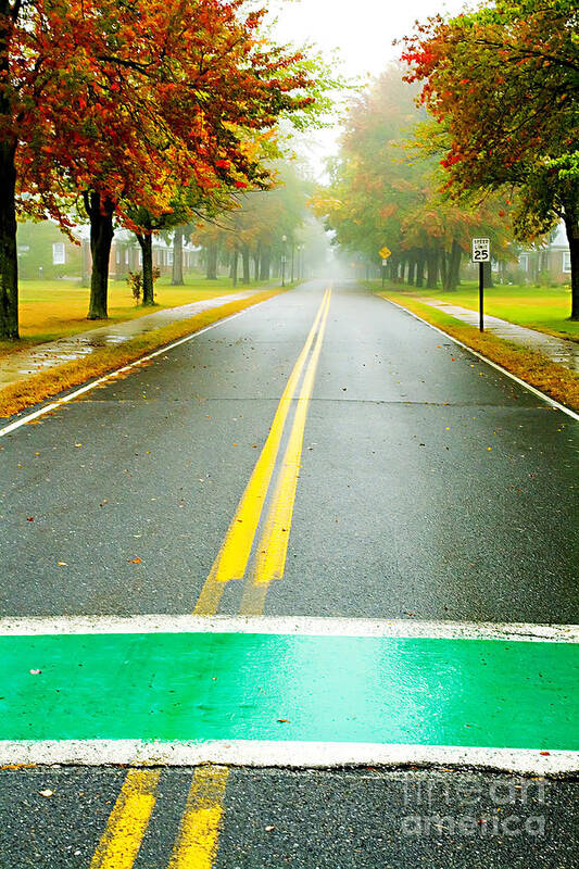 Autumn Art Print featuring the photograph Crosswalks in Autumn by Katya Horner