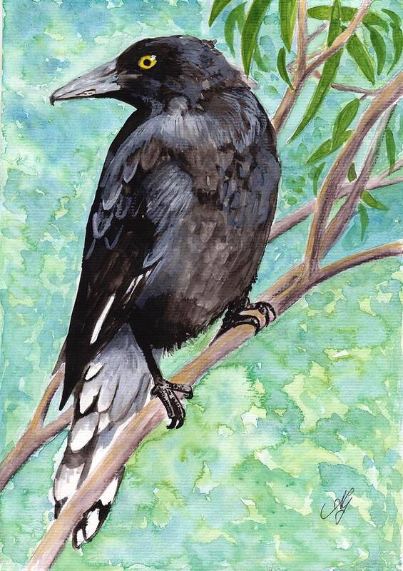 Australia Art Print featuring the painting Currawong by Anne Gardner