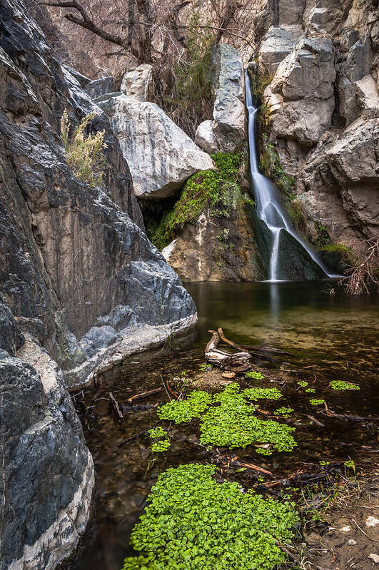 Water Art Print featuring the photograph Darwin Falls by Cat Connor