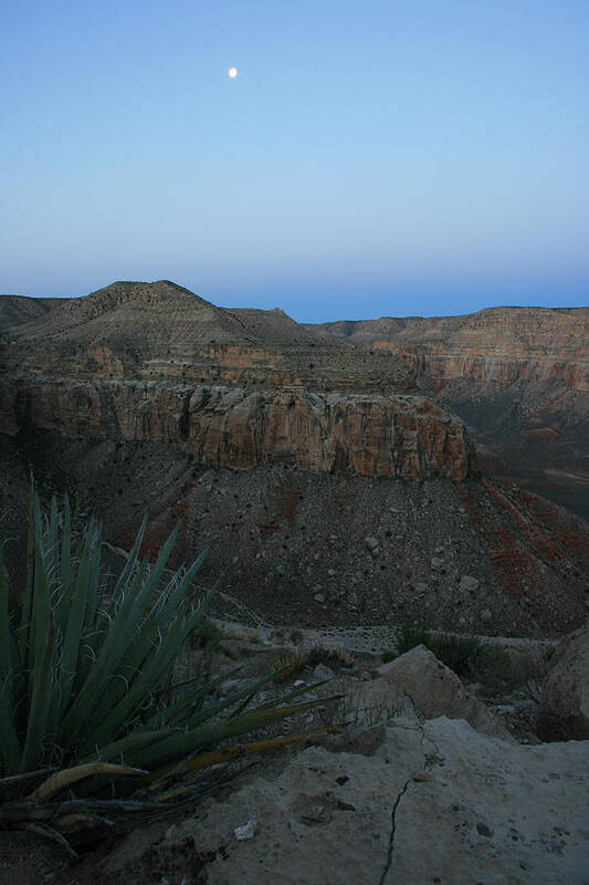 Landscape Art Print featuring the photograph Dawn Moon Over Grand Canyon by Scott Cunningham