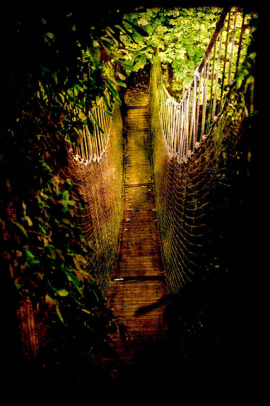 Loriental Art Print featuring the photograph Deadly Path by Loriental Photography